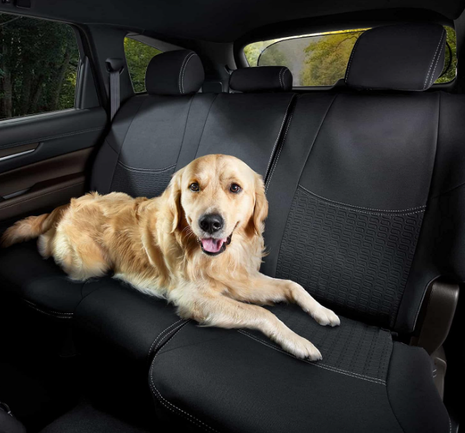Foldable Rear Glass Sunshade with Suction Cup Installation